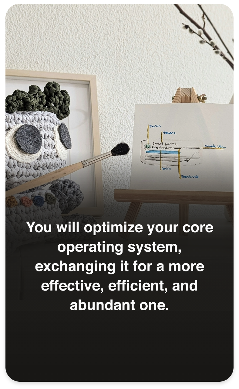you-will-optimize